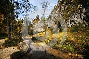 Homole gorge in Pieniny mountains.