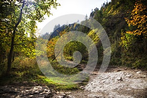 Homole gorge in Pieniny mountains.