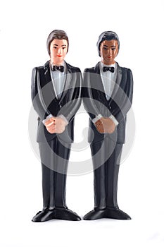 Homosexual wedding dolls isolated