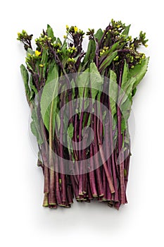 Hon tsai tai, purple choy sum, purple stem mustard photo