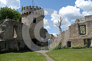 Honberg Castle Ruin