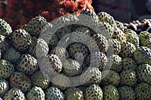 Honduras market exotic fruit closeup annona anona photo