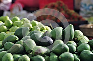 Honduras market exotic fruit guaba guayaba avocado photo