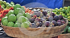 Honduras market exotic fruit guaba guayaba magosteen mangostino photo