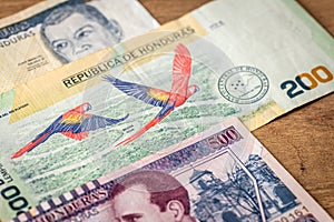 Honduras money, lempiras banknotes, highest circulating denominations, financial concept, close up, scarlet macaw parrot