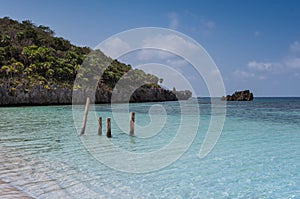 Honduras Roatan , cliff with palm trees and tropical sea