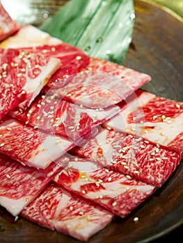 Honetsuki Karubi, Rib-on-bone It is the least fat red meat