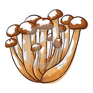 Honey agaric mushrooms icon, parasitic forest fungi