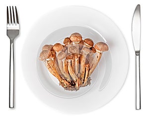 Honey agarics in plate with knife and fork