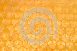 Honey Background