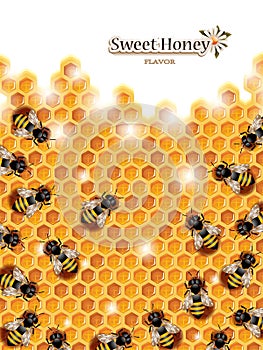 Honey Background with Bees Working on a Honeycomb