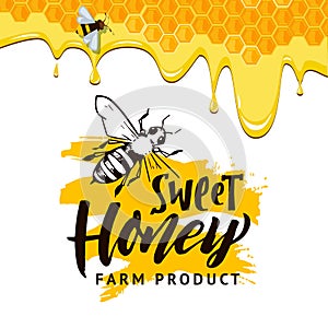 Honey background. flow of honey on lettering. Vector conceptual template