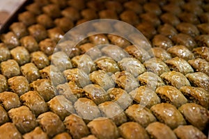 Honey baklava on a baking sheet, Turkish sweets
