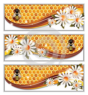 Honey Banners