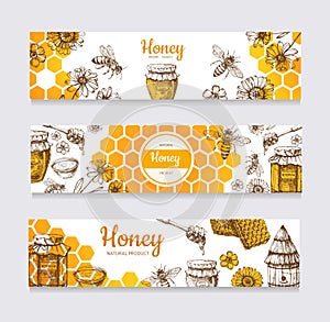 Miele. antico dipinto a mano ape un fiore favo un vettore etichette 