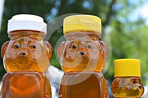 Honey Bear Family photo