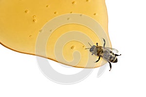 Miel miel de abeja 