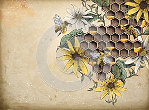 Miele ape un apiario 