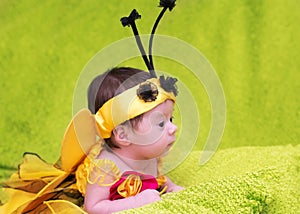 Honey Bee Baby