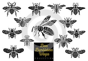 Honey bee bumblebees wasps set sketch style monochrome collection insert wings emblem symbols