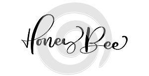 Honey Bee calligraphy vector lettering text. Bee hand lettering word in black color isolated on white background