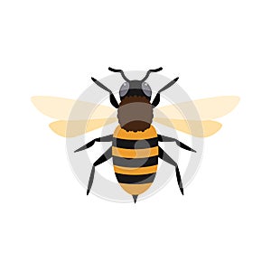 honey bee flat design vector illustration. Cute Bumble Bee. bumblebee character logo mascot