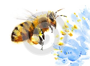 Honey Bee Flying Over Blue Flower Watercolor Illustration Hand Drawn