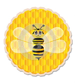 Honey bee with honey comb background