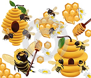 Honey bee, honeycomb, beehive, honey dipper, beeswax, Chamomile flower on white background. 3d Vector illustration