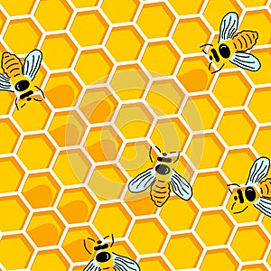 Honey Bee on Honeycomb. Honey seamless pattern background. Bee with Honey and Honeycomb in modern simple flat design. Honeycomb