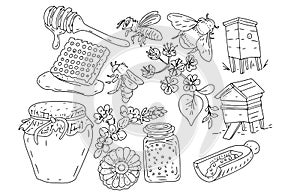 Honey bee honeycomb jar beehive graphic drawn set large separately on white background sketch doodle