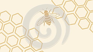 Honey bee and honeycomb pattern, natural ecosystem element vector design Generative AI