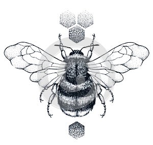 Honey bee and honeycomb tattoo. Dotwork tattoo. Symbol of diligence photo
