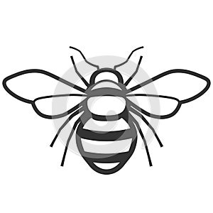 Honey bee icon