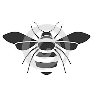 Honey bee icon