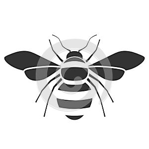 Honey bee icon photo