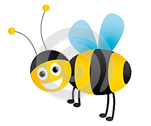 Honey bee illustration