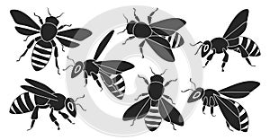 Honey bee isolated black set icon. Vector illustration animal of honeybee on white background. Vector black set icon