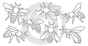 Honey bee isolated outline set icon. Vector illustration animal of honeybee on white background. Vector outline set icon