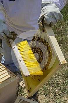 Honey Bee Keeper with brush and Comb