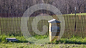 Honey bee keeper wooden box in the farm