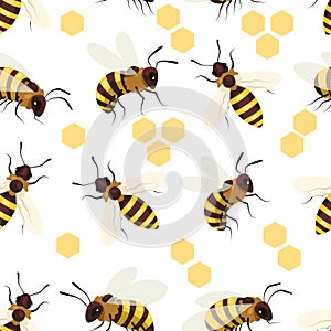 Honey bee pattern. Seamless print with winged striped insect, cute doodle apiary beekeeping elements for wrapping