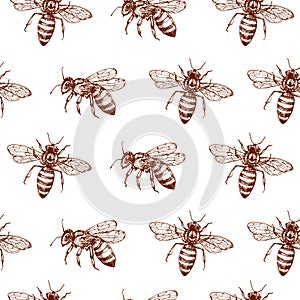 Honey bee seamless pattern. Vintage doodle sketch wrapping vector background