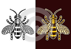 Honey bee two styles black and colorful vector photo