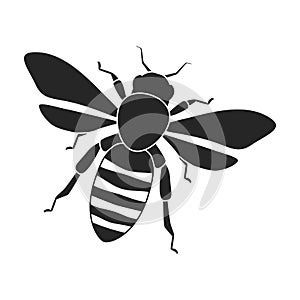 Honey bee vector black icon. Vector illustration animal of honeybee on white background. Isolated black illustration