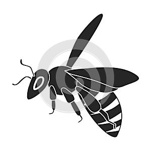 Honey bee vector black icon. Vector illustration animal of honeybee on white background. Isolated black illustration