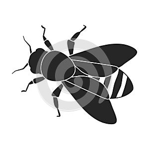 Honey bee vector black icon. Vector illustration animal of honeybee on white background. Isolated black illustration