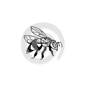 Honey bee vintage drawing icon isolated on white background