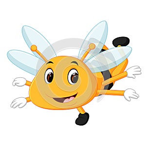 Honey bee on a white background