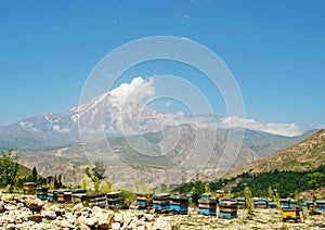 Honey beehive boxes and landscape of Damavand